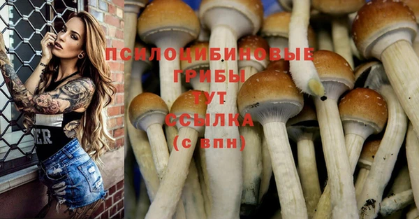 MDMA Premium VHQ Белоозёрский